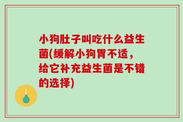 小狗肚子叫吃什么益生菌(缓解小狗胃不适，给它补充益生菌是不错的选择)
