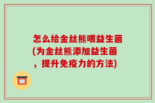 怎么给金丝熊喂益生菌(为金丝熊添加益生菌，提升力的方法)