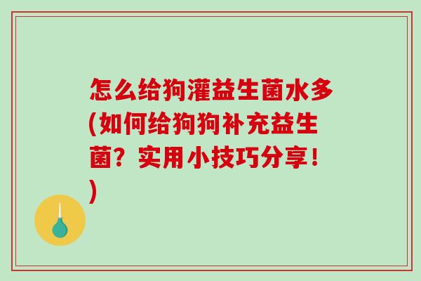 怎么给狗灌益生菌水多(如何给狗狗补充益生菌？实用小技巧分享！)
