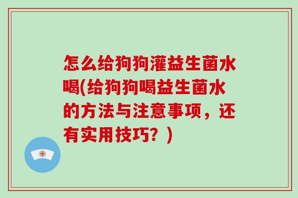 怎么给狗狗灌益生菌水喝(给狗狗喝益生菌水的方法与注意事项，还有实用技巧？)