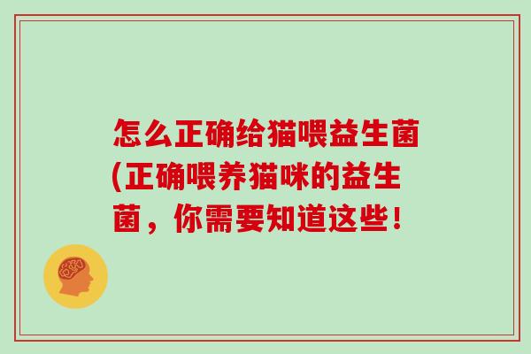 怎么正确给猫喂益生菌(正确喂养猫咪的益生菌，你需要知道这些！
