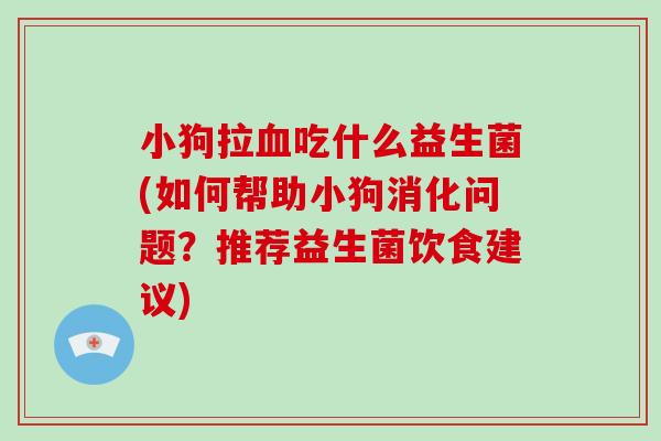 小狗拉血吃什么益生菌(如何帮助小狗消化问题？推荐益生菌饮食建议)