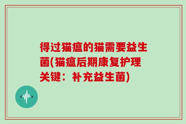 得过猫瘟的猫需要益生菌(猫瘟后期康复护理关键：补充益生菌)