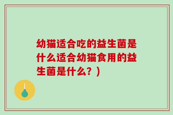 幼猫适合吃的益生菌是什么适合幼猫食用的益生菌是什么？)