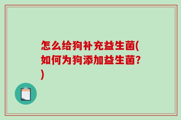 怎么给狗补充益生菌(如何为狗添加益生菌?) 怎么给狗补充益生菌(如何为狗添加益生菌?)