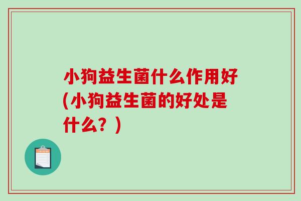 小狗益生菌什么作用好(小狗益生菌的好处是什么？)