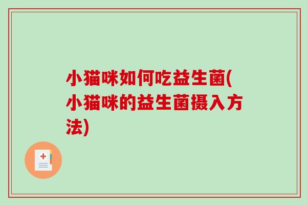 小猫咪如何吃益生菌(小猫咪的益生菌摄入方法)