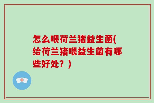 怎么喂荷兰猪益生菌(给荷兰猪喂益生菌有哪些好处？)
