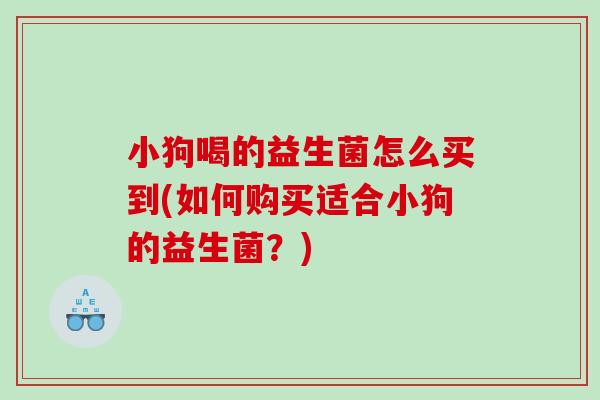 小狗喝的益生菌怎么买到(如何购买适合小狗的益生菌？)
