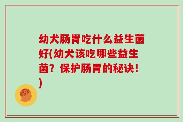 幼犬肠胃吃什么益生菌好(幼犬该吃哪些益生菌？保护肠胃的秘诀！)