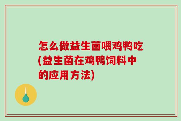 怎么做益生菌喂鸡鸭吃(益生菌在鸡鸭饲料中的应用方法)