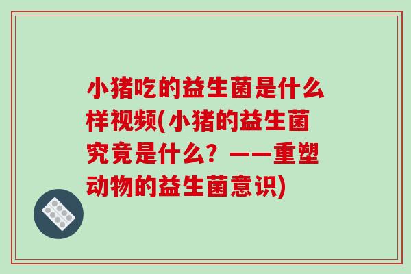 小猪吃的益生菌是什么样视频(小猪的益生菌究竟是什么？——重塑动物的益生菌意识)