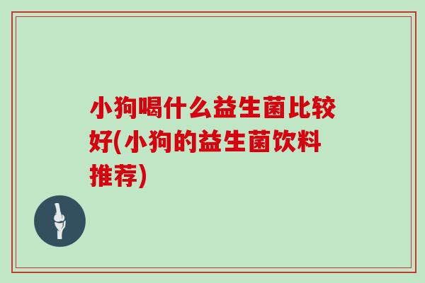 小狗喝什么益生菌比较好(小狗的益生菌饮料推荐)