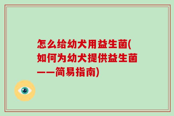 怎么给幼犬用益生菌(如何为幼犬提供益生菌——简易指南)