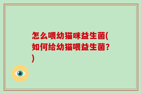 怎么喂幼猫咪益生菌(如何给幼猫喂益生菌？)