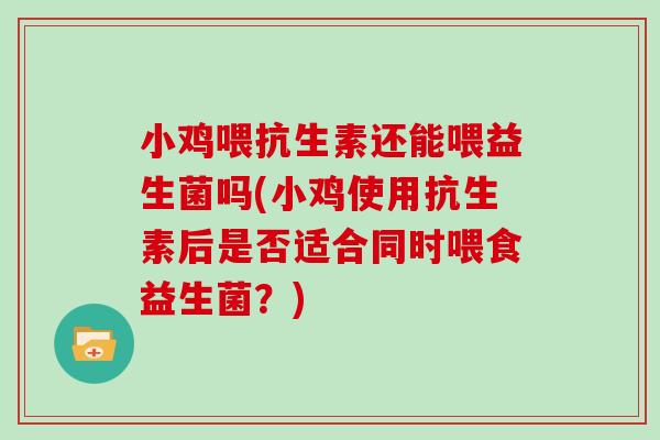 小鸡喂抗生素还能喂益生菌吗(小鸡使用抗生素后是否适合同时喂食益生菌？)
