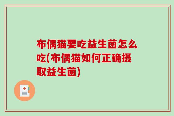 布偶猫要吃益生菌怎么吃(布偶猫如何正确摄取益生菌)
