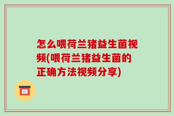 怎么喂荷兰猪益生菌视频(喂荷兰猪益生菌的正确方法视频分享)