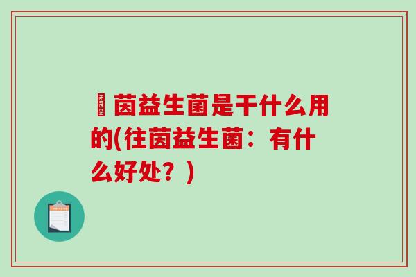 徍茵益生菌是干什么用的(往茵益生菌：有什么好处？)