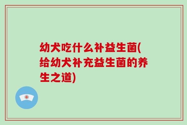 幼犬吃什么补益生菌(给幼犬补充益生菌的养生之道) 幼犬吃什么补益生菌(给幼犬补充益生菌的养生之道)