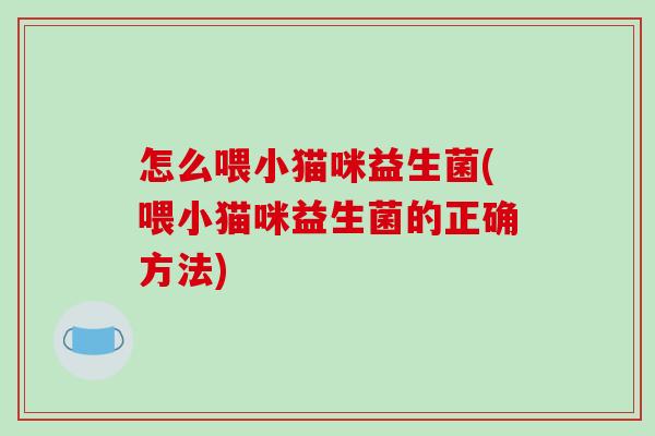 怎么喂小猫咪益生菌(喂小猫咪益生菌的正确方法)