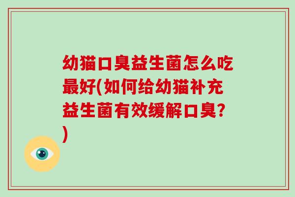 幼猫口臭益生菌怎么吃最好(如何给幼猫补充益生菌有效缓解口臭？)