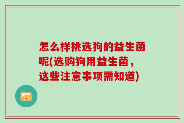 怎么样挑选狗的益生菌呢(选购狗用益生菌,这些注意事项需知道) 怎么样挑选狗的益生菌呢(选购狗用益生菌,这些注意事项需知道)
