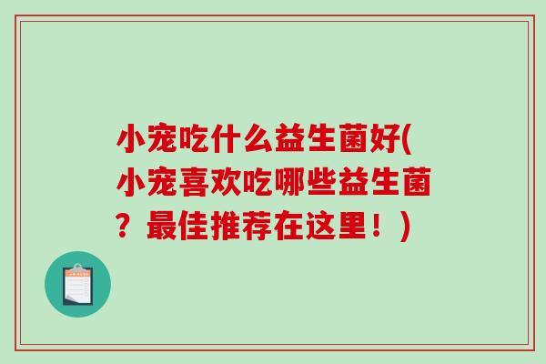 小宠吃什么益生菌好(小宠喜欢吃哪些益生菌？佳推荐在这里！)