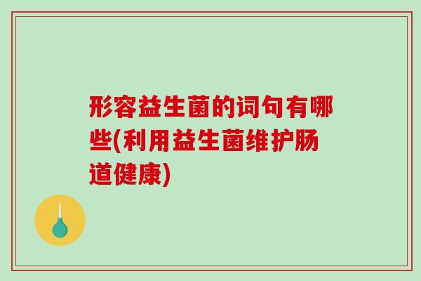 形容益生菌的词句有哪些(利用益生菌维护肠道健康)