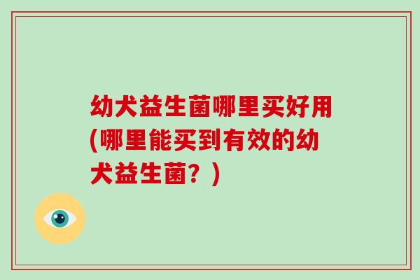 幼犬益生菌哪里买好用(哪里能买到有效的幼犬益生菌？)