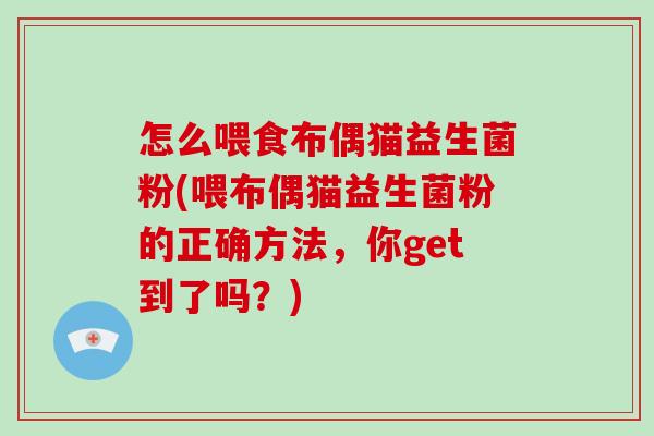 怎么喂食布偶猫益生菌粉(喂布偶猫益生菌粉的正确方法,你get到了吗?) 怎么喂食布偶猫益生菌粉(喂布偶猫益生菌粉的正确方法,你get到了吗?)