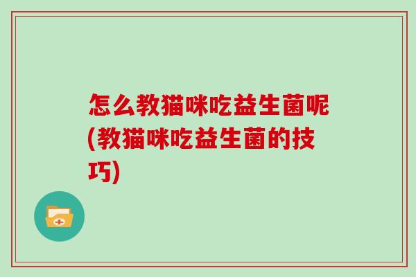 怎么教猫咪吃益生菌呢(教猫咪吃益生菌的技巧)