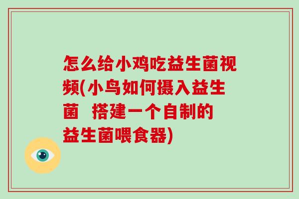 怎么给小鸡吃益生菌视频(小鸟如何摄入益生菌  搭建一个自制的益生菌喂食器)