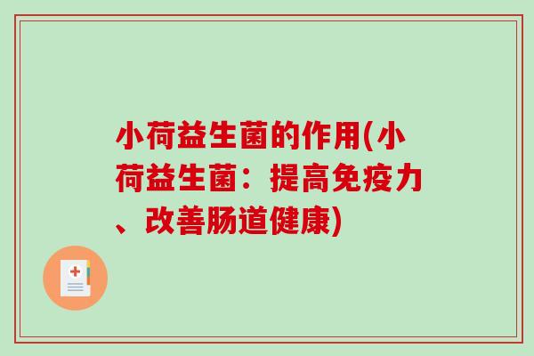 小荷益生菌的作用(小荷益生菌：提高免疫力、改善肠道健康)