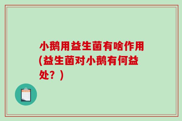 小鹅用益生菌有啥作用(益生菌对小鹅有何益处？)