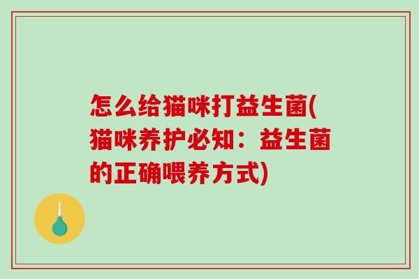 怎么给猫咪打益生菌(猫咪养护必知：益生菌的正确喂养方式)