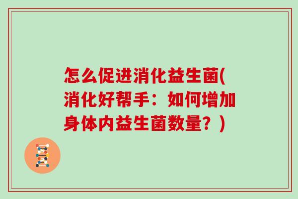 怎么促进消化益生菌(消化好帮手：如何增加身体内益生菌数量？)