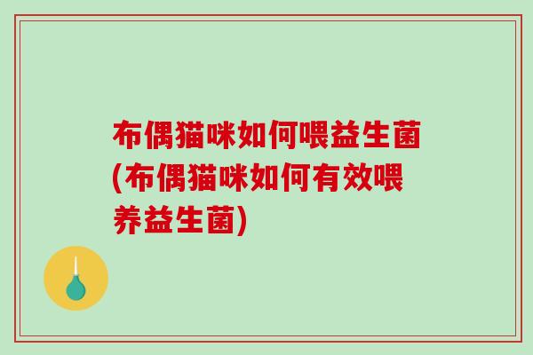 布偶猫咪如何喂益生菌(布偶猫咪如何有效喂养益生菌)