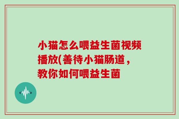 小猫怎么喂益生菌视频播放(善待小猫肠道,教你如何喂益生菌 小猫怎么喂益生菌视频播放(善待小猫肠道,教你如何喂益生菌