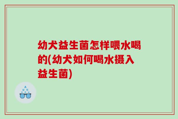 幼犬益生菌怎样喂水喝的(幼犬如何喝水摄入益生菌)