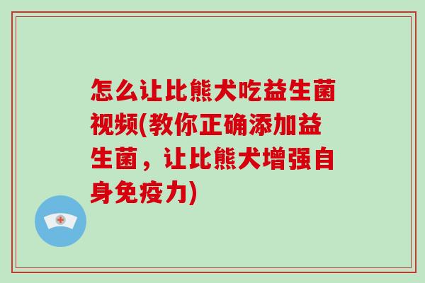 怎么让比熊犬吃益生菌视频(教你正确添加益生菌，让比熊犬增强自身力)
