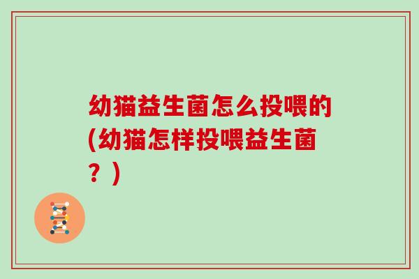 幼猫益生菌怎么投喂的(幼猫怎样投喂益生菌？)