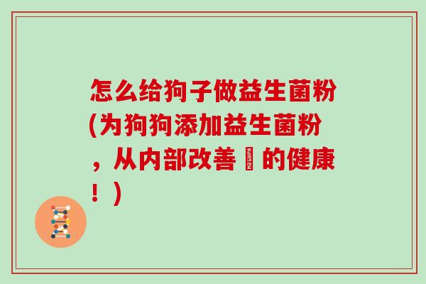 怎么给狗子做益生菌粉(为狗狗添加益生菌粉,从内部改善牠的健康!) 怎么给狗子做益生菌粉(为狗狗添加益生菌粉,从内部改善牠的健康!)