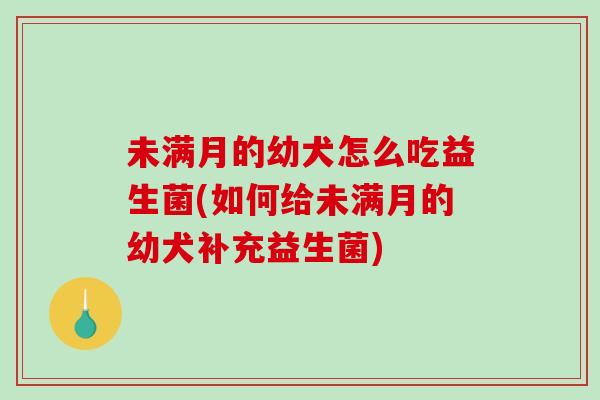 未满月的幼犬怎么吃益生菌(如何给未满月的幼犬补充益生菌) 未满月的幼犬怎么吃益生菌(如何给未满月的幼犬补充益生菌)