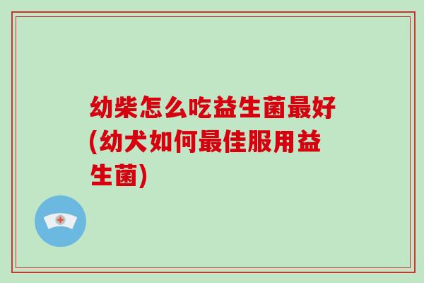 幼柴怎么吃益生菌最好(幼犬如何最佳服用益生菌)