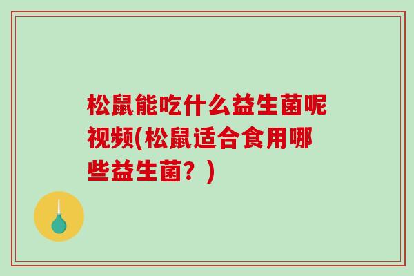 松鼠能吃什么益生菌呢视频(松鼠适合食用哪些益生菌？)