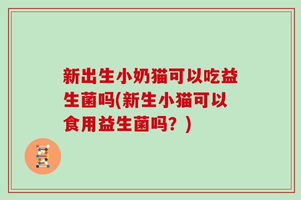 新出生小奶猫可以吃益生菌吗(新生小猫可以食用益生菌吗？)