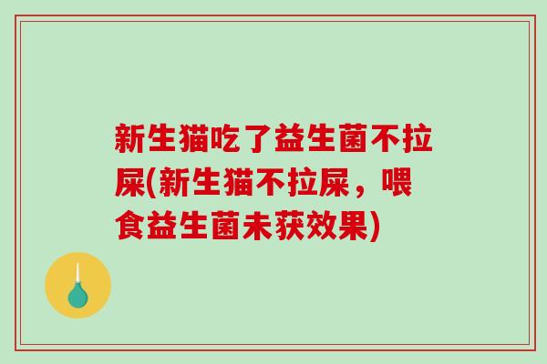 新生猫吃了益生菌不拉屎(新生猫不拉屎，喂食益生菌未获效果)