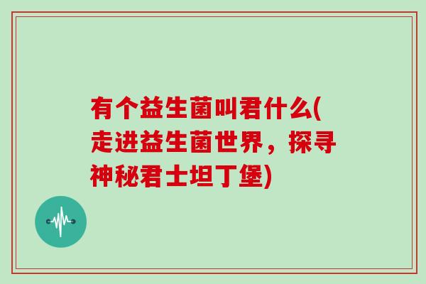 有个益生菌叫君什么(走进益生菌世界，探寻神秘君士坦丁堡)