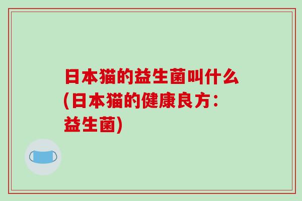 日本猫的益生菌叫什么(日本猫的健康良方：益生菌)